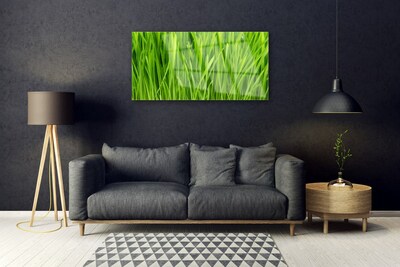 Image sur verre Tableau Herbe floral vert