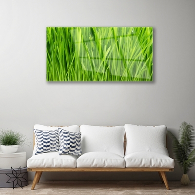 Image sur verre Tableau Herbe floral vert