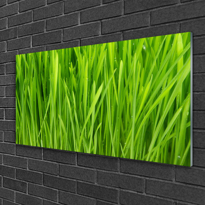 Image sur verre Tableau Herbe floral vert