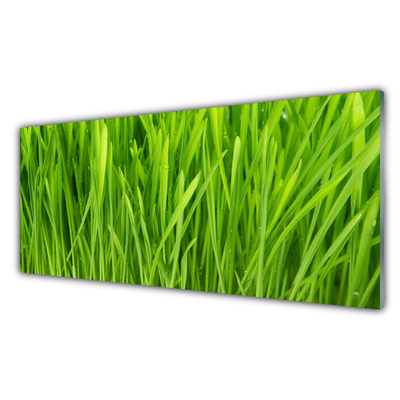 Image sur verre Tableau Herbe floral vert