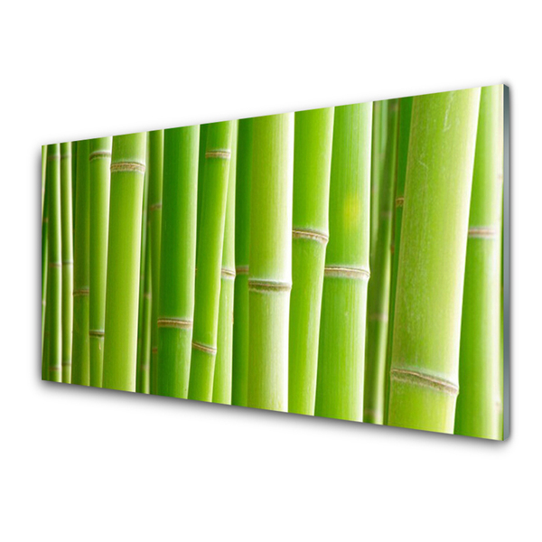 Image sur verre Tableau Bambou tige floral vert