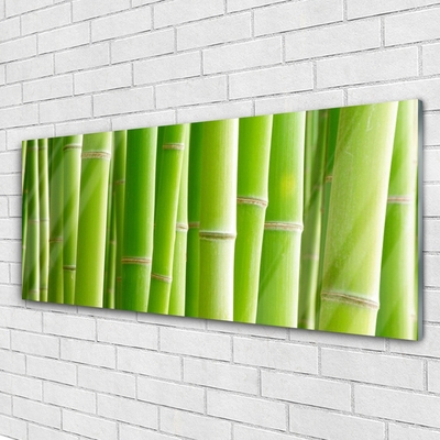 Image sur verre Tableau Bambou tige floral vert