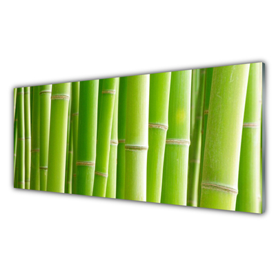 Image sur verre Tableau Bambou tige floral vert