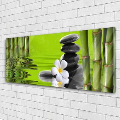 Image sur verre Tableau Bambou fleurs pierres art vert noir blanc