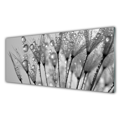 Image sur verre Tableau Pissenlit floral gris