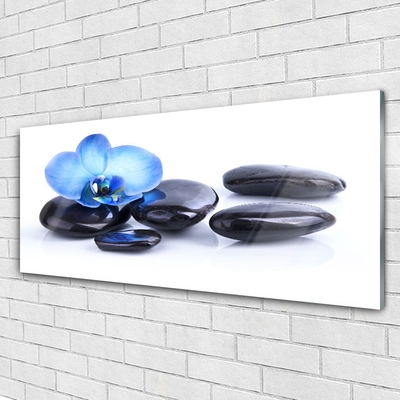 Image sur verre Tableau Fleurs pierres art bleu noir