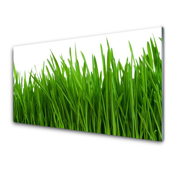 Image sur verre Tableau Herbe floral vert