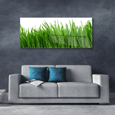 Image sur verre Tableau Herbe floral vert