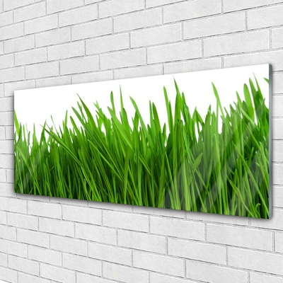 Image sur verre Tableau Herbe floral vert