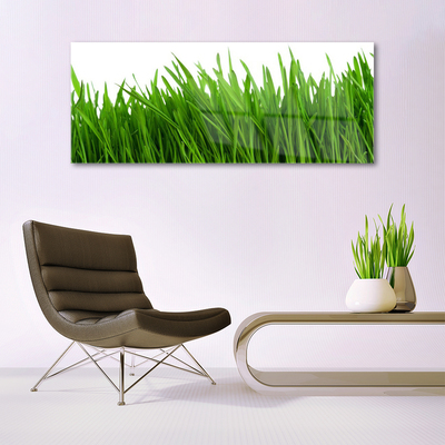 Image sur verre Tableau Herbe floral vert