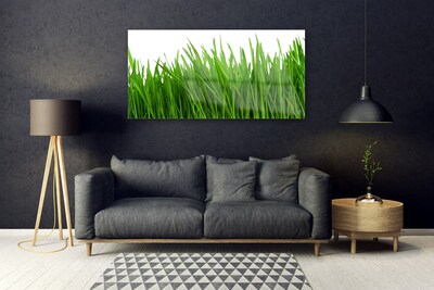 Image sur verre Tableau Herbe floral vert