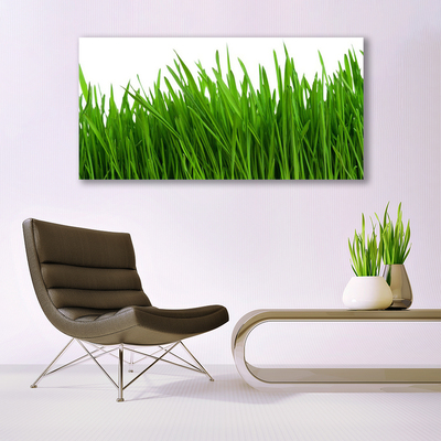 Image sur verre Tableau Herbe floral vert