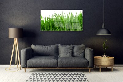 Image sur verre Tableau Herbe floral vert