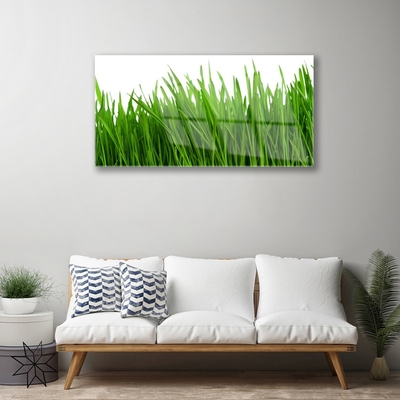 Image sur verre Tableau Herbe floral vert