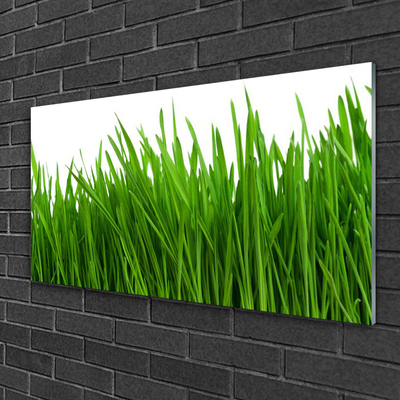 Image sur verre Tableau Herbe floral vert