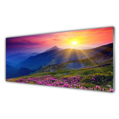 Image sur verre Tableau Montagne fleurs prairie paysage bleu rose vert jaune
