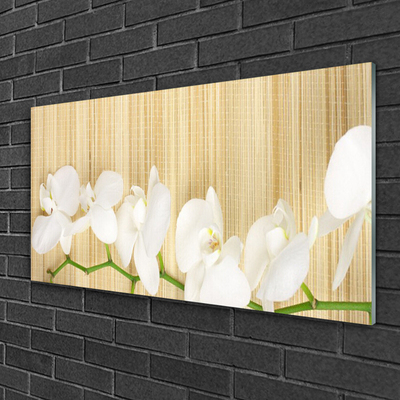 Image sur verre Tableau Fleurs floral blanc