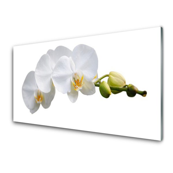 Image sur verre Tableau Fleurs floral blanc