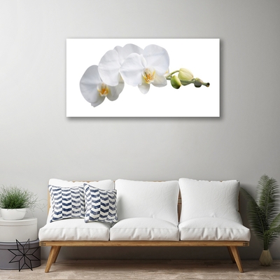 Image sur verre Tableau Fleurs floral blanc