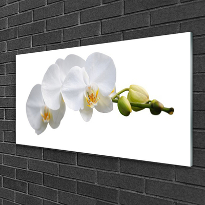 Image sur verre Tableau Fleurs floral blanc