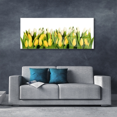 Image sur verre Tableau Tulipes floral jaune vert