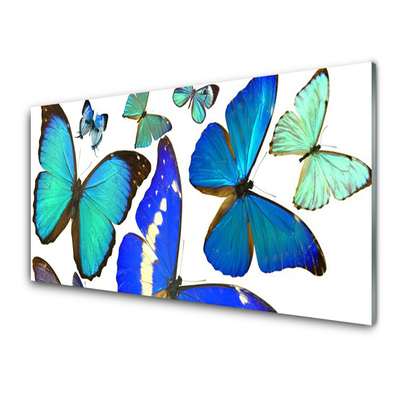 Image sur verre Tableau Papillon nature bleu noir violet
