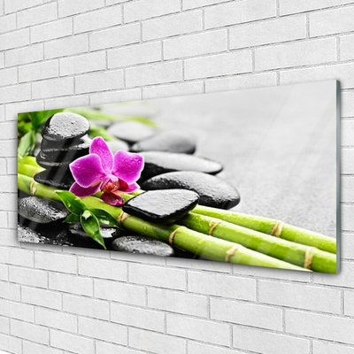 Image sur verre Tableau Pierres fleur bambou art vert rouge noir