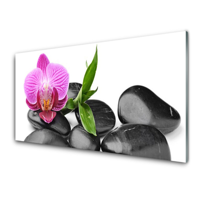 Image sur verre Tableau Pierres fleurs art rose noir