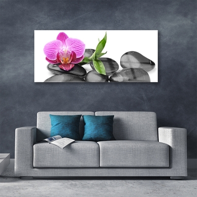 Image sur verre Tableau Pierres fleurs art rose noir