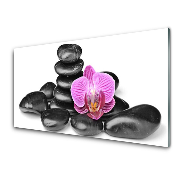 Image sur verre Tableau Fleurs pierres art rose noir