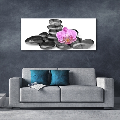 Image sur verre Tableau Fleurs pierres art rose noir