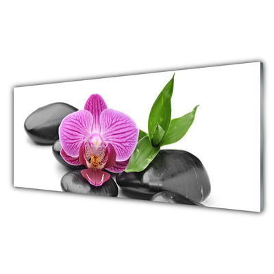 Image sur verre Tableau Pierres fleurs art rose noir