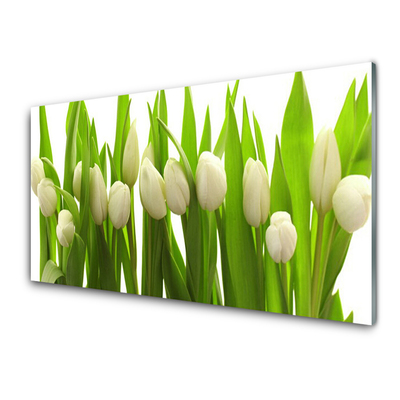 Image sur verre Tableau Tulipes floral blanc vert