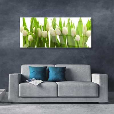 Image sur verre Tableau Tulipes floral blanc vert