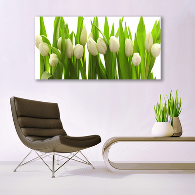 Image sur verre Tableau Tulipes floral blanc vert