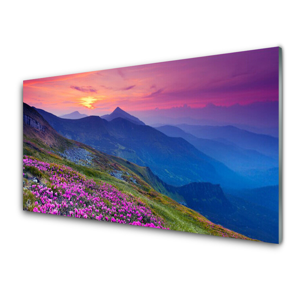 Image sur verre Tableau Montagnes prairie fleurs paysage bleu rose vert jaune
