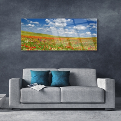 Image sur verre Tableau Fleurs prairie paysage rouge blanc vert