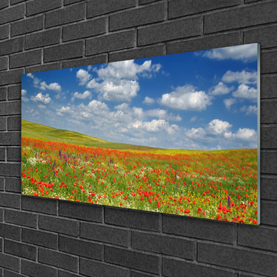 Image sur verre Tableau Fleurs prairie paysage rouge blanc vert