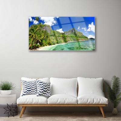 Image sur verre Tableau Montagne plage paysage brun vert