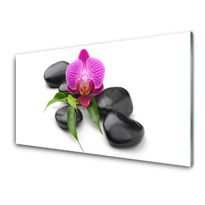 Image sur verre Tableau Pierres fleurs art rose noir