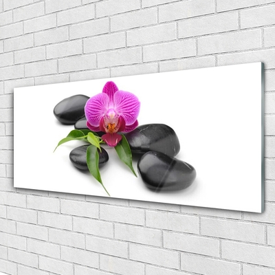 Image sur verre Tableau Pierres fleurs art rose noir