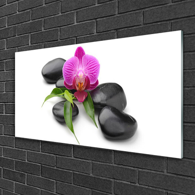 Image sur verre Tableau Pierres fleurs art rose noir