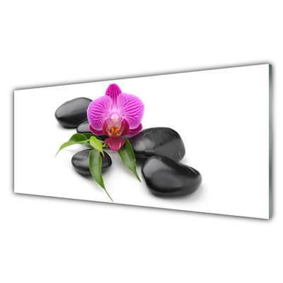 Image sur verre Tableau Pierres fleurs art rose noir