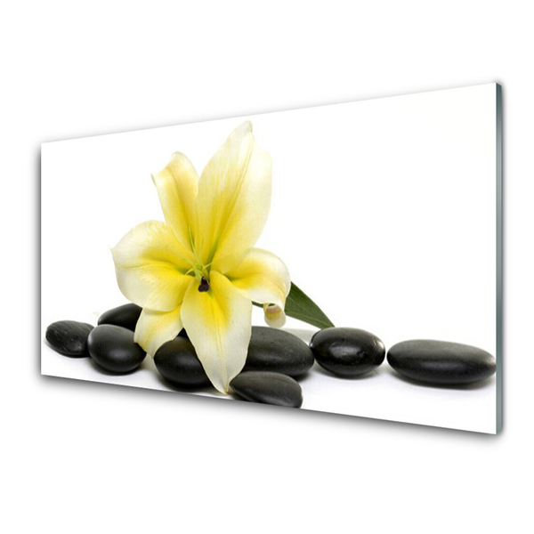 Image sur verre Tableau Fleurs pierres art blanc vert noir