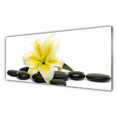 Image sur verre Tableau Fleurs pierres art blanc vert noir