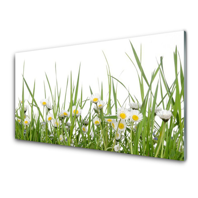 Image sur verre Tableau Marguerite herbe nature vert blanc jaune