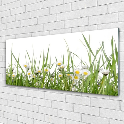 Image sur verre Tableau Marguerite herbe nature vert blanc jaune