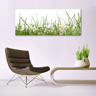 Image sur verre Tableau Marguerite herbe nature vert blanc jaune