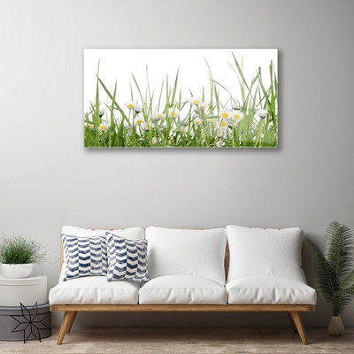 Image sur verre Tableau Marguerite herbe nature vert blanc jaune