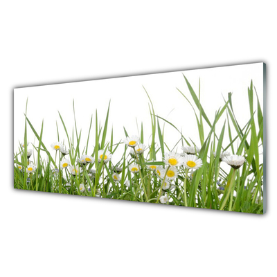 Image sur verre Tableau Marguerite herbe nature vert blanc jaune